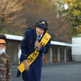 Mogi331