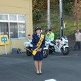 Mogi334