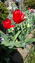 20180331_140635 20180331_140635