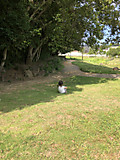 S__12288003