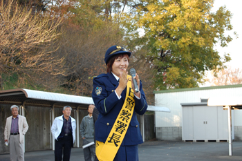 Mogi328