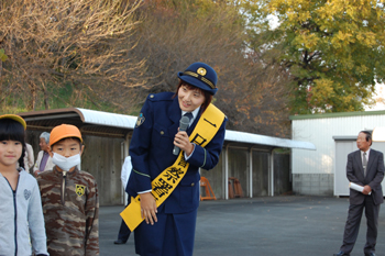 Mogi331